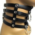*** DISCONTINUED *** Collier Posture BDSM - 4 strips