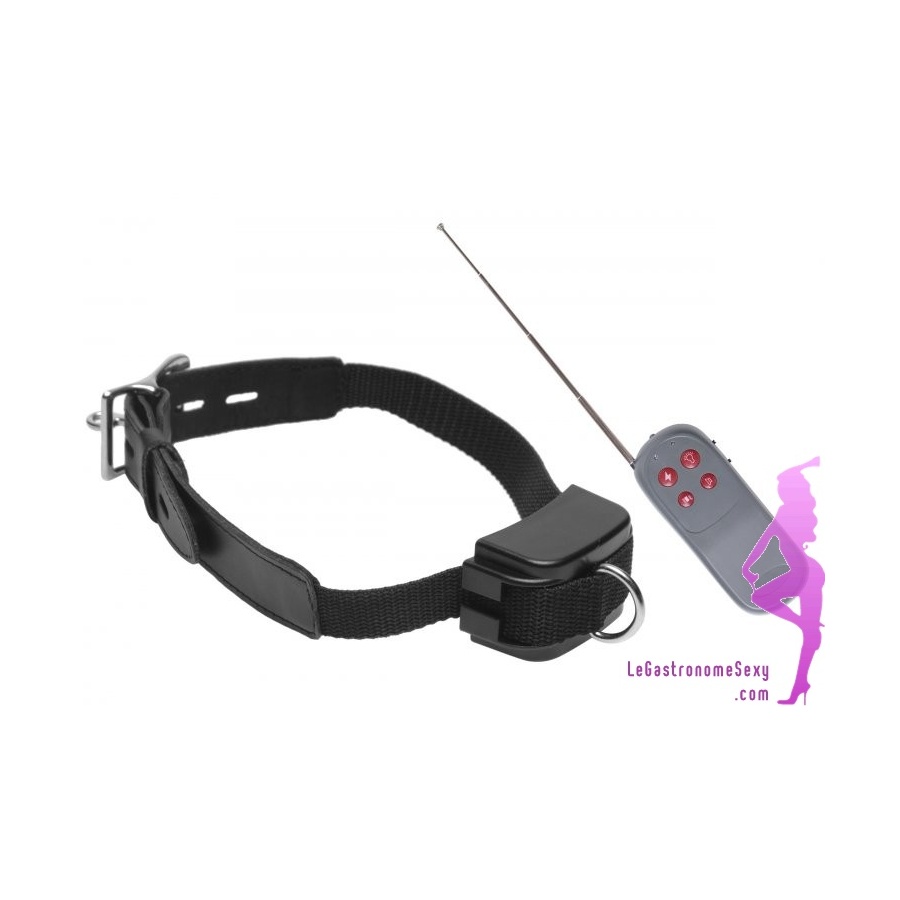 72.95€ - Collier de dressage pour humain soumis : BDSM électrique