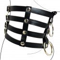 *** DISCONTINUED *** Collier Posture BDSM - 4 strips