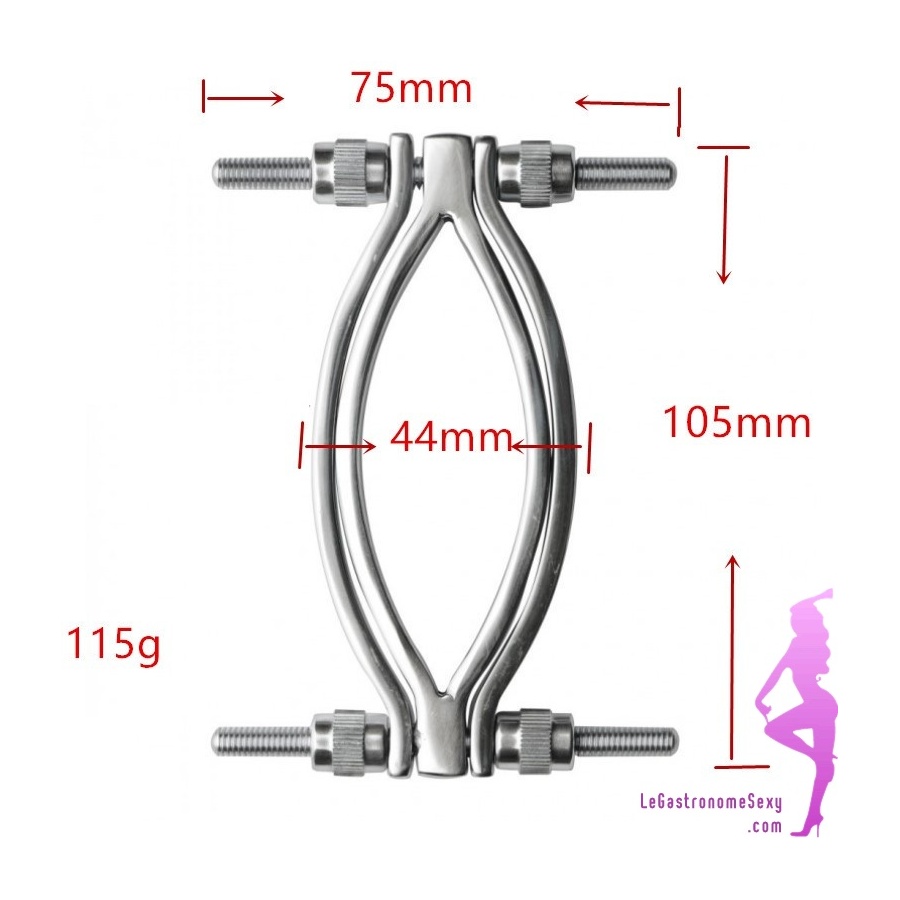 Lot De 6 Piercings Barres De Lèvre En Acier Chirurgical 316L - Neuf