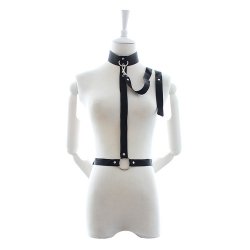 Harnais SM avec avec collier ras du cou et laisse en nylon Harnais SM avec avec collier ras du cou et laisse en nylon