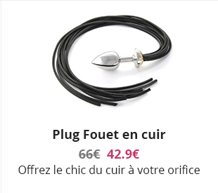 Plug Fouet en cuir 42.90€